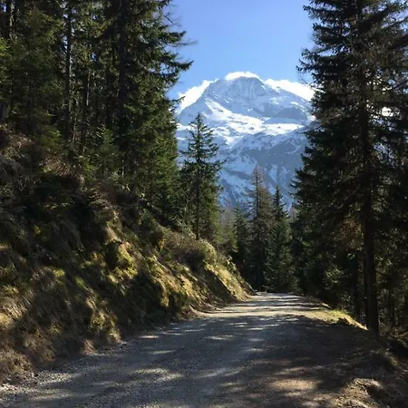 Apartment Le Rocher Sainte-Foy-Tarentaise